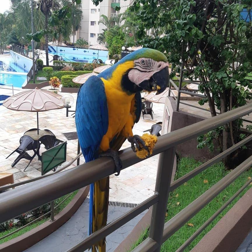 Apartamento Ecologic Park *